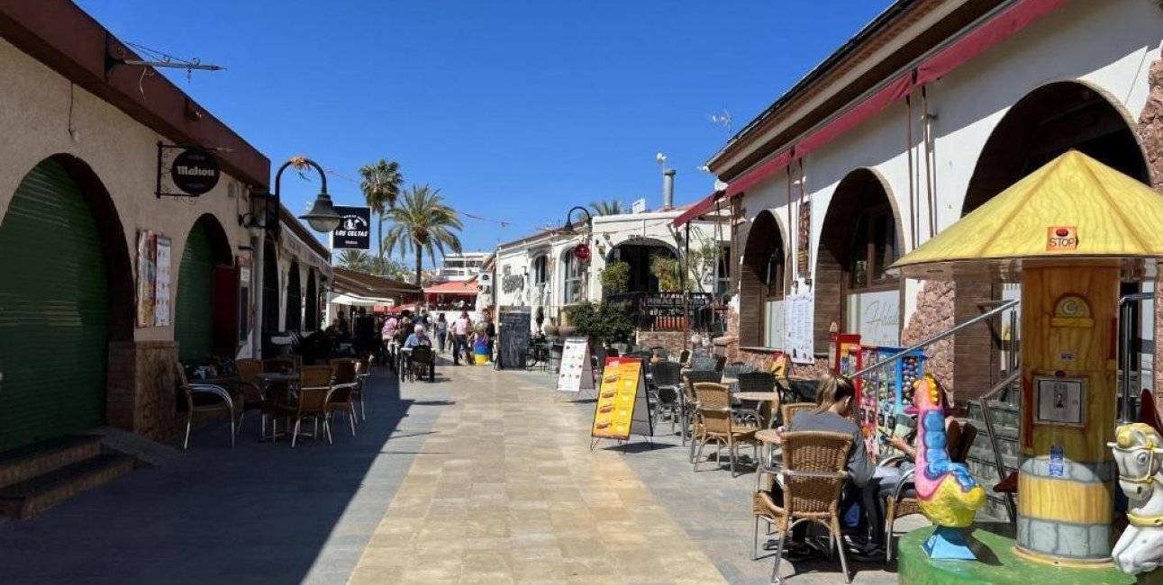 New Build - Villa -
Pilar de la Horadada - Riomar