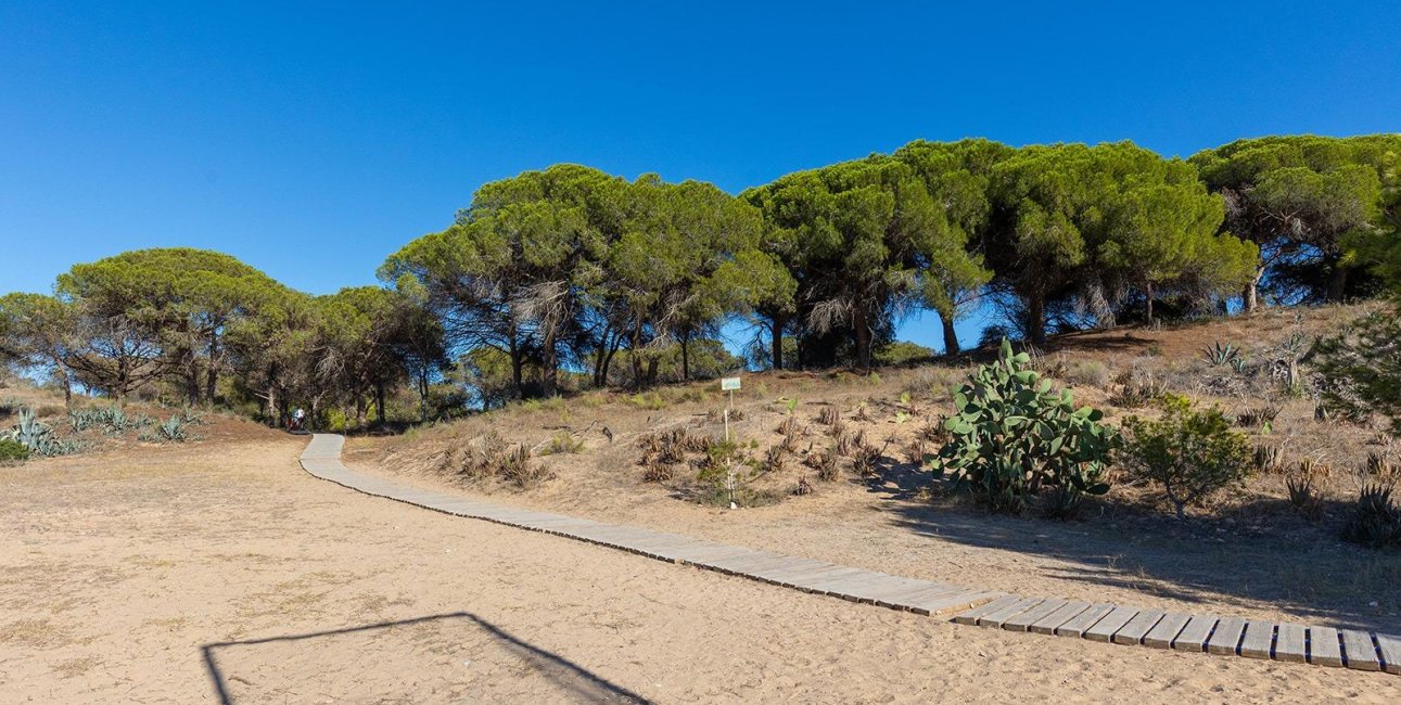 Resale - Apartment / flat -
Guardamar del Segura - Urb. pinomar