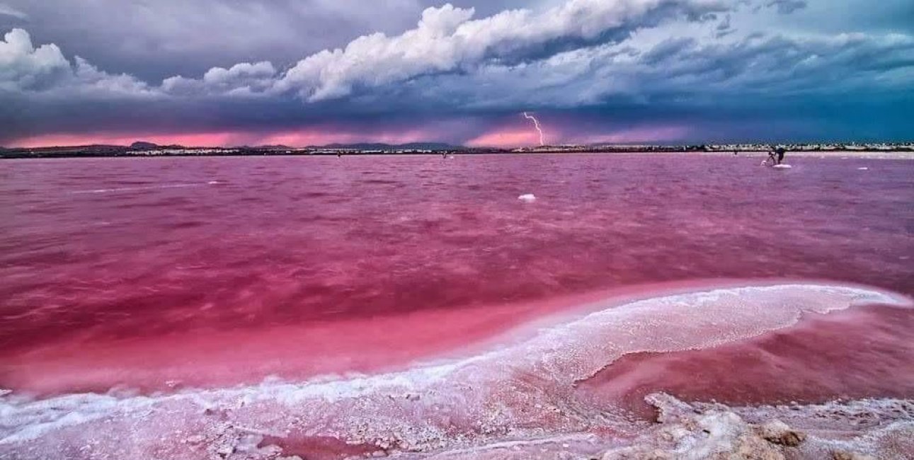 Obra nueva - Apartamento / piso -
Torrevieja - Centro