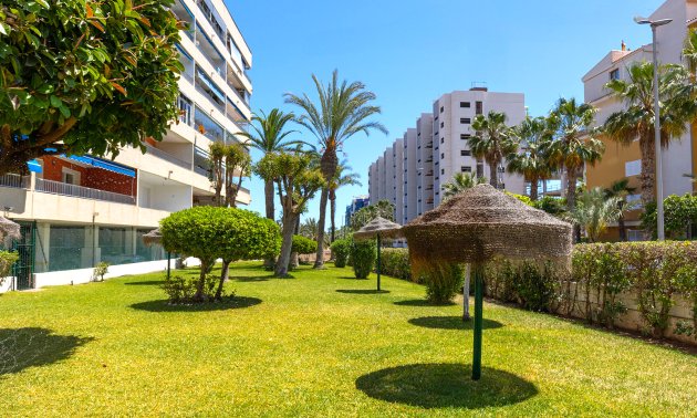 Reventa - Apartamento / piso -
Torrevieja - Punta prima