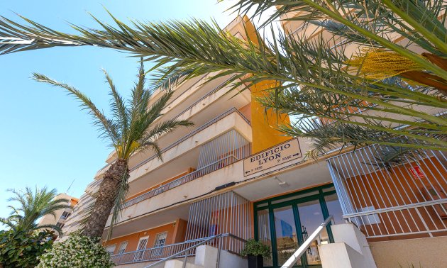 Reventa - Apartamento / piso -
Torrevieja - Punta prima