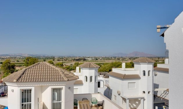 Obra nueva - Villa -
San Fulgencio - El Oasis