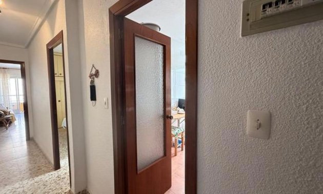 Rynek wtórny - Mieszkanie  -
Torrevieja