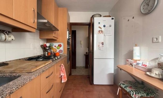 Rynek wtórny - Mieszkanie  -
Torrevieja