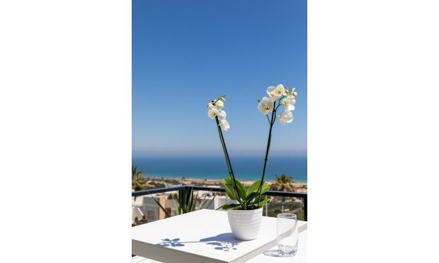 Rynek pierwotny - Mieszkanie  -
Santa Pola - Gran Alacant