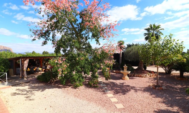 Resale - Country House -
Orihuela - La Campaneta