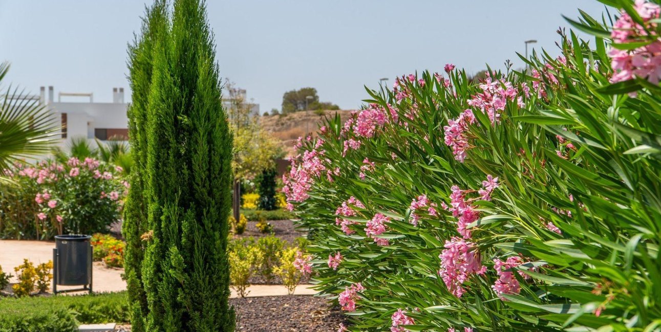 New Build - Bungalow -
Orihuela - Vistabella Golf