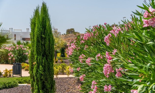 New Build - Bungalow -
Orihuela - Vistabella Golf