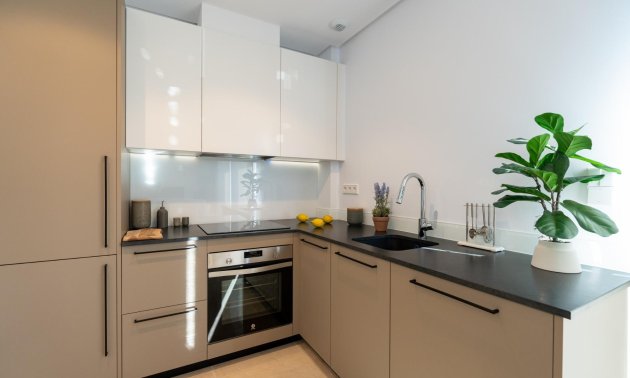 Obra nueva - Villa -
La Marina - El Pinet