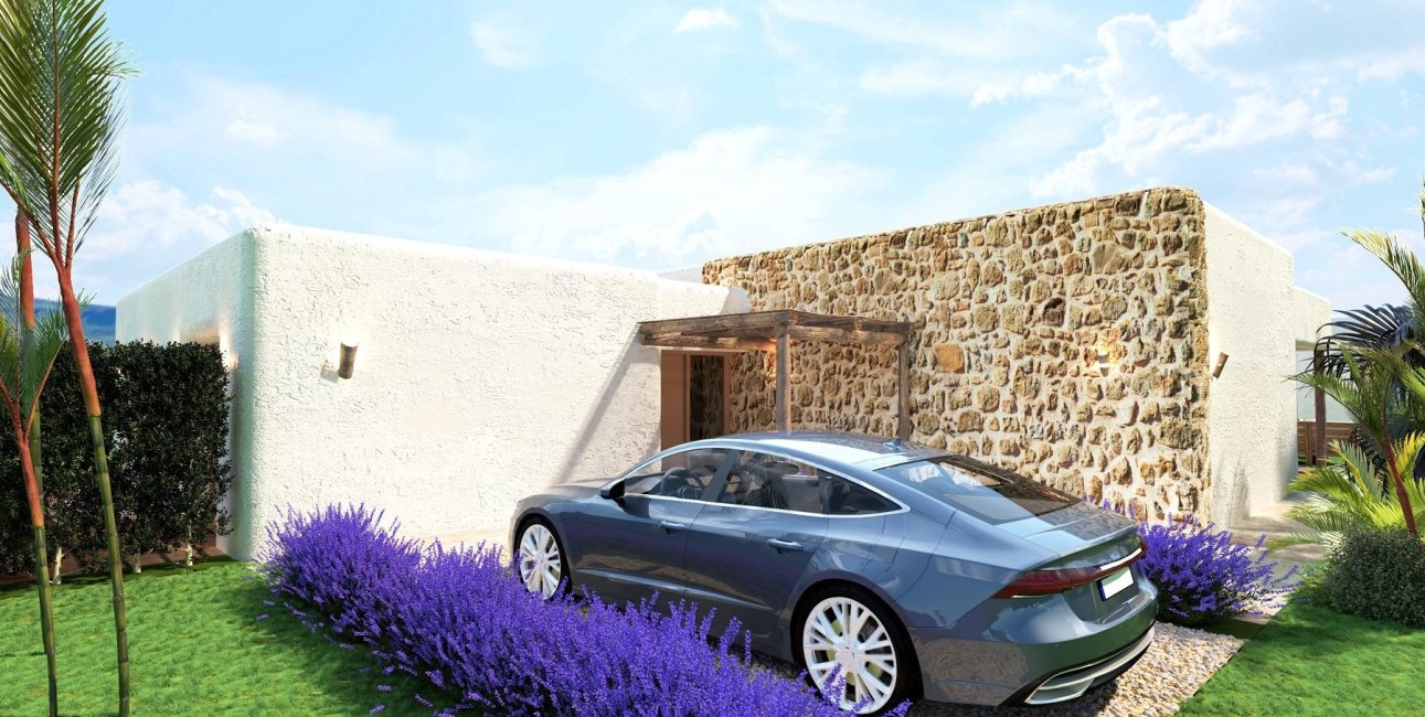 Obra nueva - Villa -
Pinoso - Rodriguillo