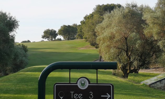 Resale - Villa -
Orihuela Costa - Villamartín