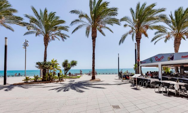 Reventa - Apartamento / piso -
Torrevieja - Paseo maritimo