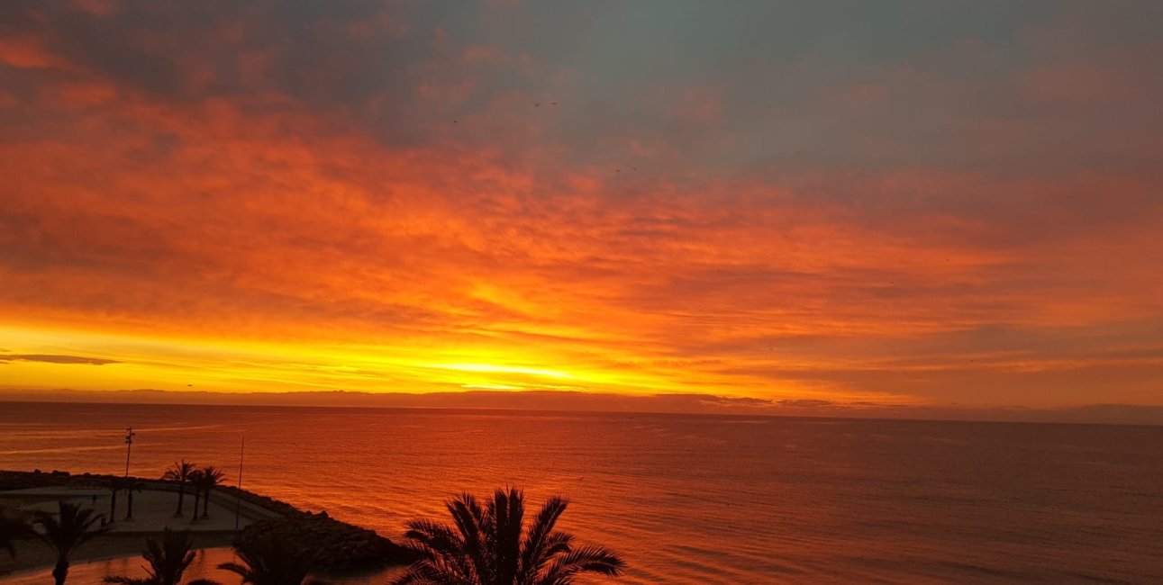 Resale - Apartment / flat -
Torrevieja - Playa Del Cura