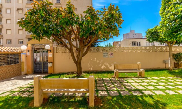 Resale - Apartment / flat -
Torrevieja - Torrevieja - Centre