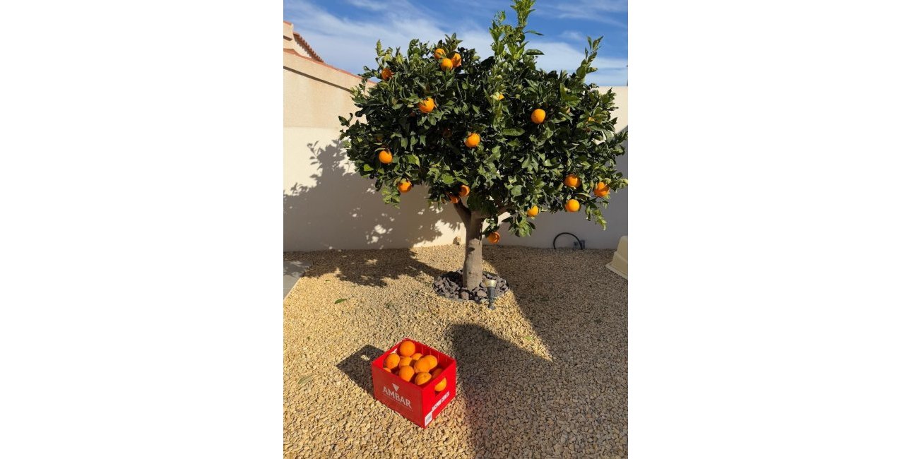 Reventa - Villa -
Ciudad Quesada - La Marquesa