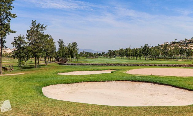 New Build - Villa -
Rojales - Ciudad Quesada