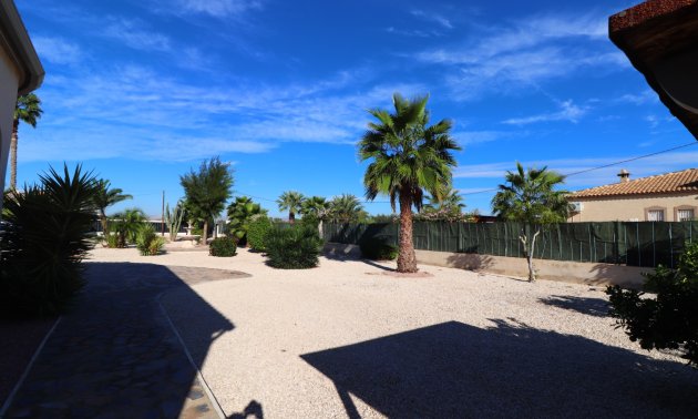 Reventa - Finca -
Catral - Catral - Country