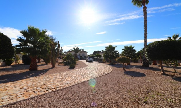 Reventa - Finca -
Catral - Catral - Country