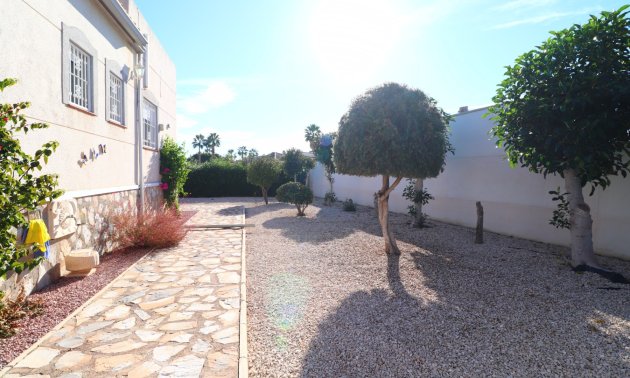 Reventa - Finca -
Catral - Catral - Country
