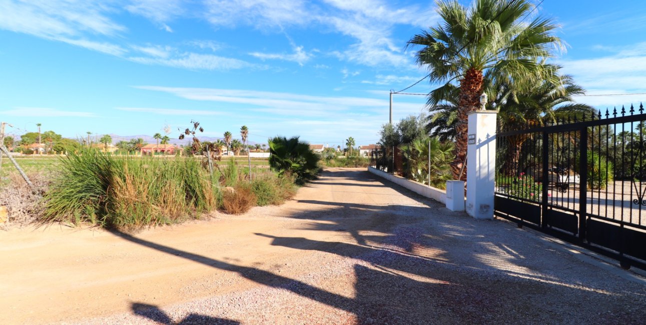 Reventa - Finca -
Catral - Catral - Country