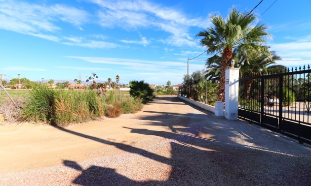 Reventa - Finca -
Catral - Catral - Country