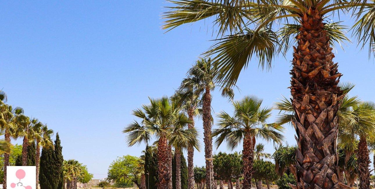 New Build - Villa -
San Fulgencio - La Escuera