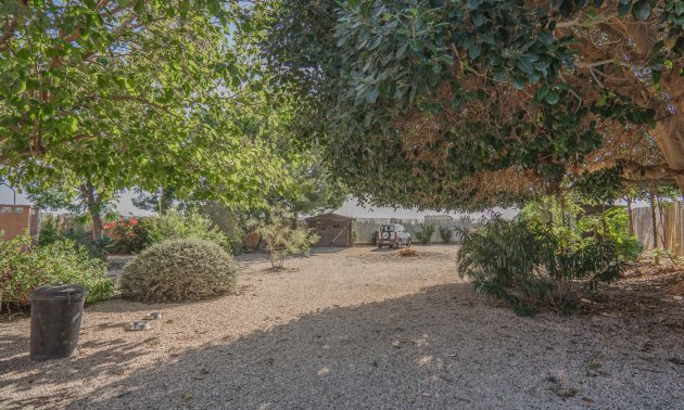 Resale - Country House -
Orihuela - San Bartolome