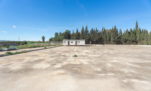 Resale - Country House -
Los Montesinos - Los Montesinos - Country