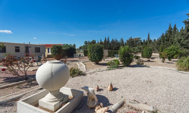 Resale - Country House -
Los Montesinos - Los Montesinos - Country