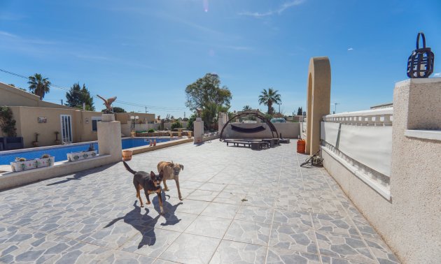 Resale - Country House -
Los Montesinos - Los Montesinos - Country