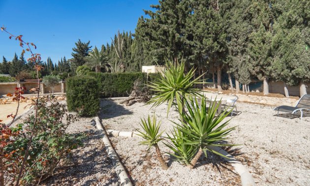 Resale - Country House -
Los Montesinos - Los Montesinos - Country