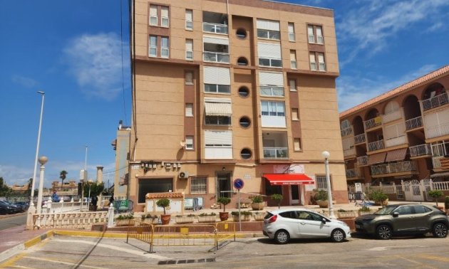 Reventa - Apartamento / piso -
Torrevieja - Puerto Romano