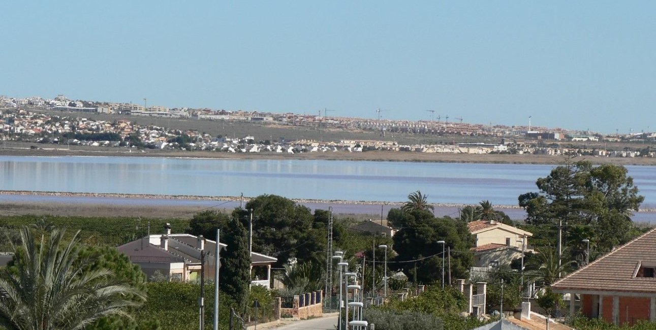 Obra nueva - Villa -
Los Montesinos - La Herrada