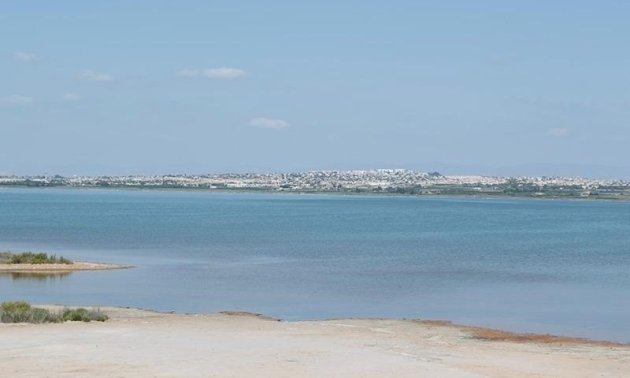 Resale - Apartment / flat -
La Mata - La Mata - Town