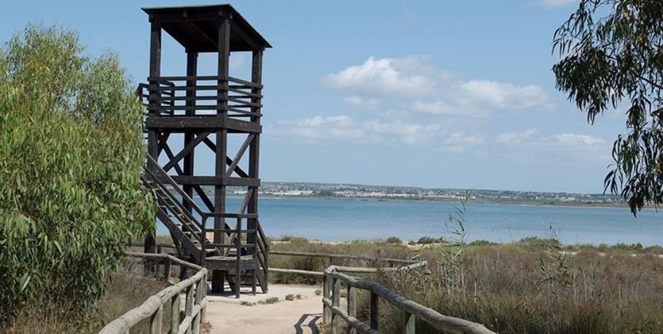 Resale - Apartment / flat -
La Mata - La Mata - Town