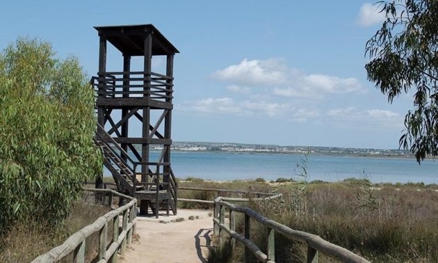 Resale - Apartment / flat -
La Mata - La Mata - Town