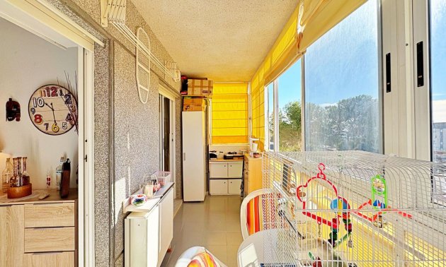 Reventa - Apartamento / piso -
Torrevieja - Punta prima