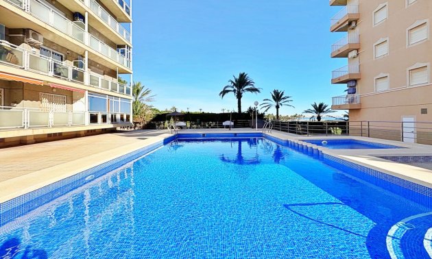 Reventa - Apartamento / piso -
Torrevieja - Punta prima