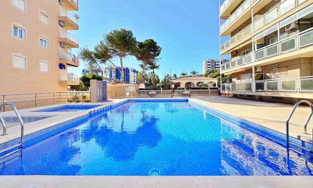 Reventa - Apartamento / piso -
Torrevieja - Punta prima