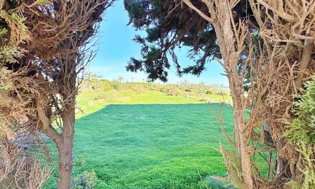 Reventa - Apartamento / piso -
Torrevieja - Punta prima