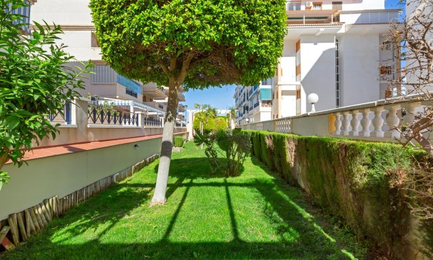 Rynek wtórny - Mieszkanie w bloku -
Torrevieja - La Mata