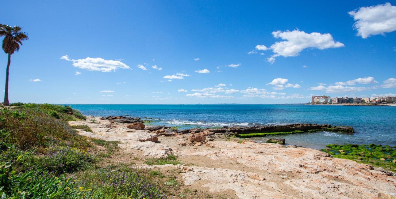 Reventa - Apartamento / piso -
Torrevieja - Paseo maritimo