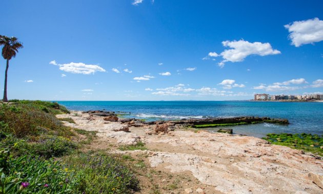 Reventa - Apartamento / piso -
Torrevieja - Paseo maritimo