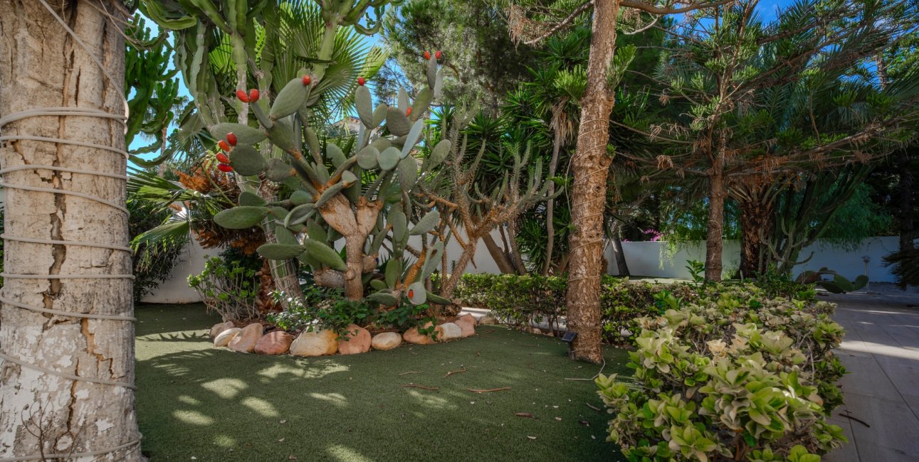 Resale - Villa -
Ciudad Quesada - Doña Pepa