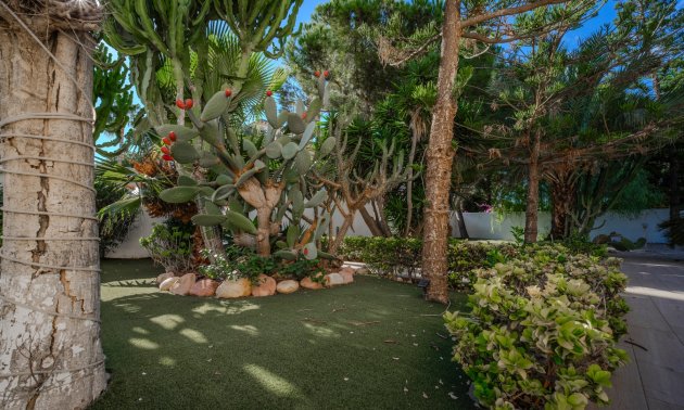 Resale - Villa -
Ciudad Quesada - Doña Pepa