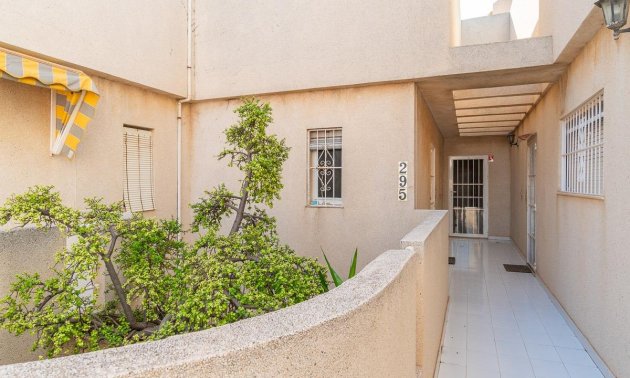 Resale - Apartment / flat -
Torrevieja - Frutales - Rosaleda