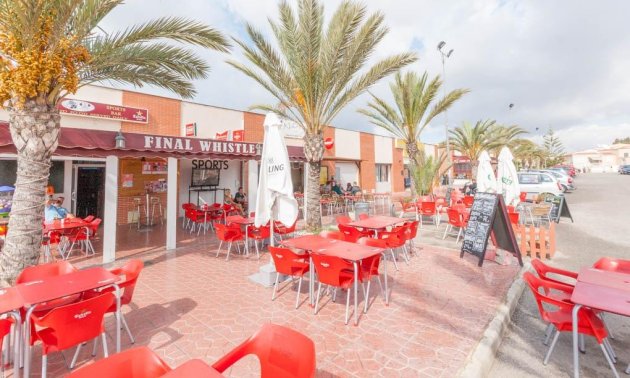 Alquiler a largo plazo - Comercial -
San Fulgencio - La Marina