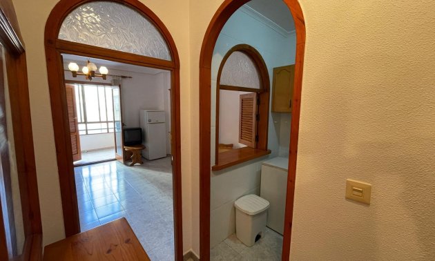 Reventa - Estudio -
Torrevieja - Estacion de autobuses