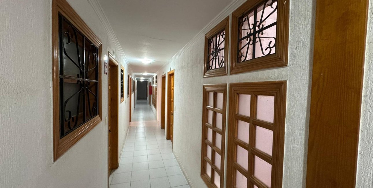 Reventa - Estudio -
Torrevieja - Estacion de autobuses