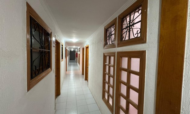 Reventa - Estudio -
Torrevieja - Estacion de autobuses